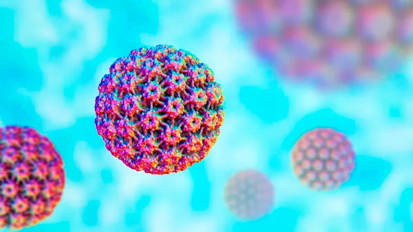 Fundação do Câncer celebra decisão da Conitec de incorporação da testagem molecular para detecção do Papilomavírus Humano (HPV) no SUS